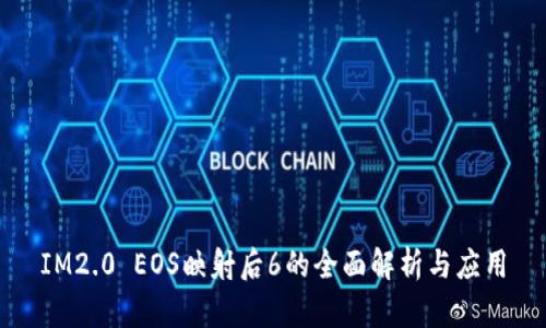 IM2.0 EOS映射后6的全面解析与应用