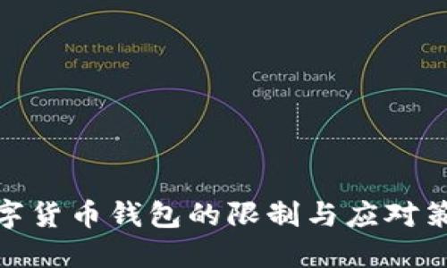 数字货币钱包的限制与应对策略