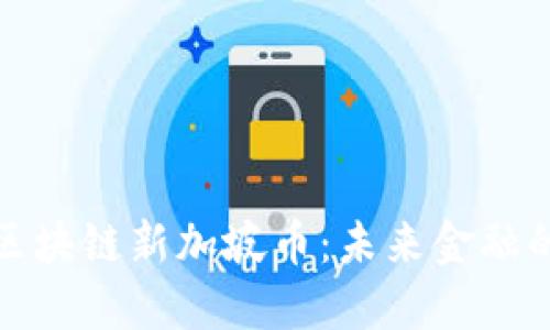 深入探索区块链新加坡币：未来金融的创新范例