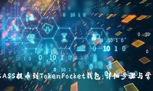 如何将抹茶ASS提币到TokenPocket钱包：详细步骤与常见问题解析