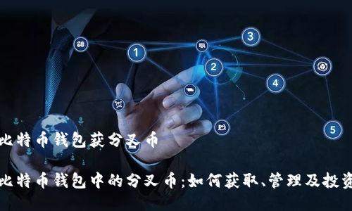 比特币钱包获分叉币

比特币钱包中的分叉币：如何获取、管理及投资