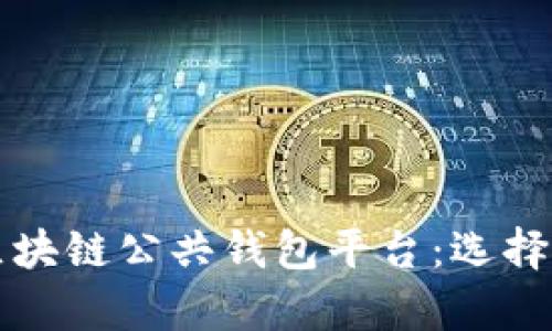 全面解析区块链公共钱包平台：选择与使用指南