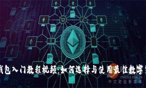 区块链钱包入门教程视频：如何选择与使用最佳数字货币钱包