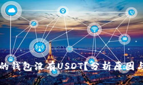 为什么我的钱包没有USDT？分析原因与解决方案