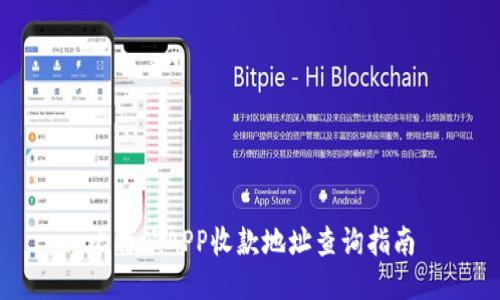 比特派APP收款地址查询指南