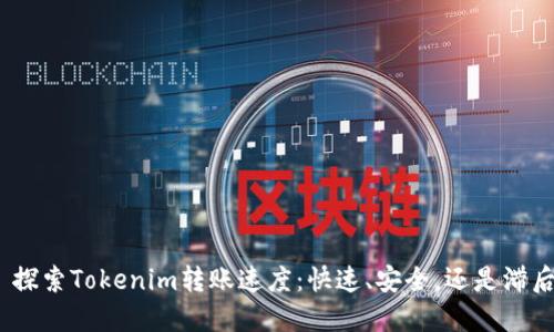 : 探索Tokenim转账速度：快速、安全，还是滞后？