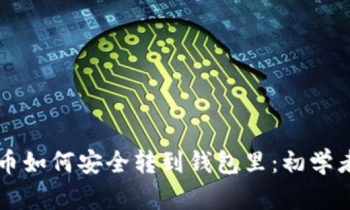 虚拟币如何安全转到钱包里：初学者指南