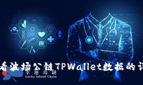 如何查看波场公链TPWallet数据的详细指南