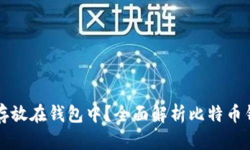 为什么将比特币存放在钱包中？全面解析比特币钱包的意义与选择