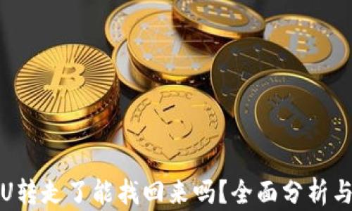 
冷钱包的U转走了能找回来吗？全面分析与解决方案