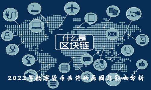 2022年数字货币关停的原因与影响分析