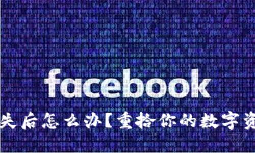 比特币钱包丢失后怎么办？重拾你的数字资产的详细指南