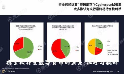 探索比特星数字货币的未来：机遇与挑战