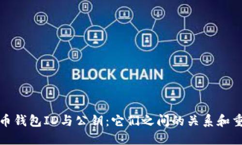 比特币钱包ID与公钥：它们之间的关系和重要性