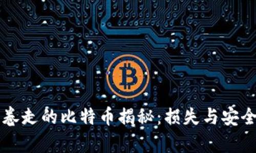 Plus钱包卷走的比特币揭秘：损失与安全风险分析