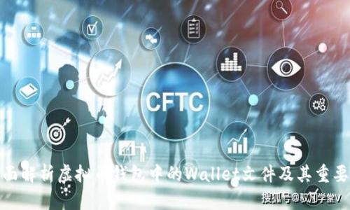 全面解析虚拟币钱包中的Wallet文件及其重要性