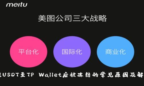 币安提USDT至TP Wallet后被冻结的常见原因及解决方案
