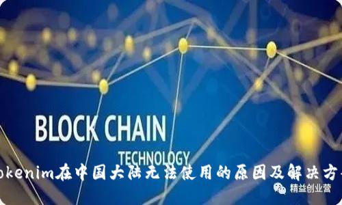 Tokenim在中国大陆无法使用的原因及解决方案