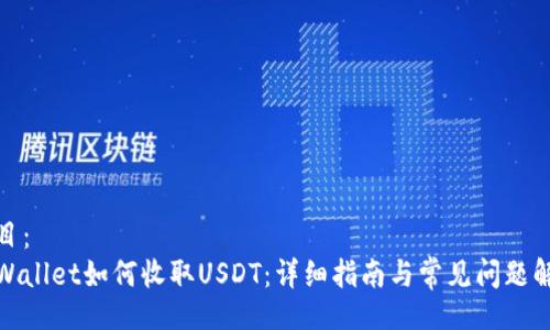 题目：
tpWallet如何收取USDT：详细指南与常见问题解答