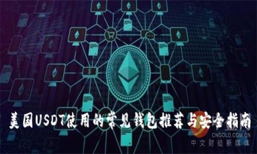 美国USDT使用的常见钱包推荐与安全指南