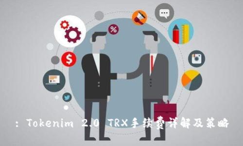 : Tokenim 2.0 TRX手续费详解及策略