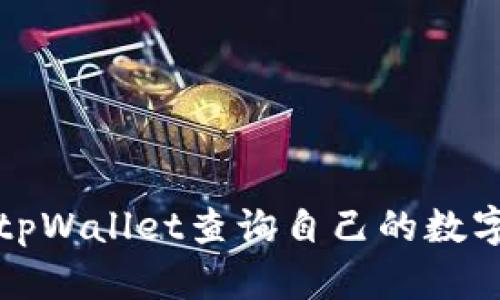 如何使用tpWallet查询自己的数字货币去向