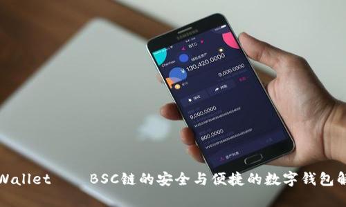 揭开tpWallet——BSC链的安全与便捷的数字钱包解决方案