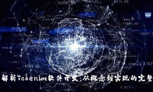 全面解析Tokenim软件开发：从概念到实现的完整指南