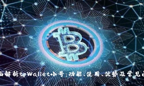 全面解析tpWallet小号：功能、使用、优势及常见问题