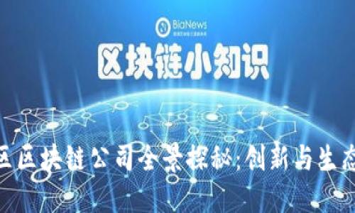 娄底市区区块链公司全景探秘：创新与生态的融合