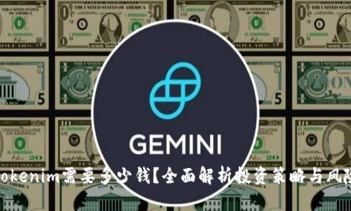 投资Tokenim需要多少钱？全面解析投资策略与风险评估