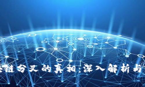 区块链分叉的真相：深入解析与影响