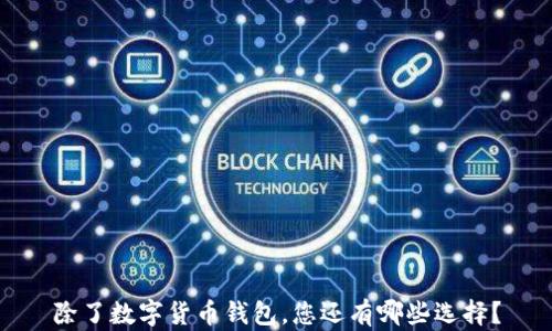 
除了数字货币钱包，您还有哪些选择？