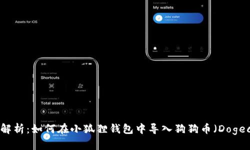 全面解析：如何在小狐狸钱包中导入狗狗币（Dogecoin）