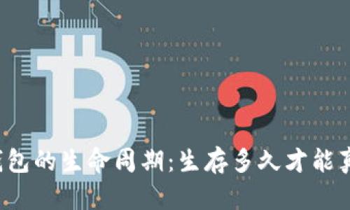 区块链钱包的生命周期：生存多久才能真正使用？