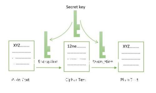 导入 Tokenim 的概念及其应用

深入了解 Tokenim：导入及其应用解析