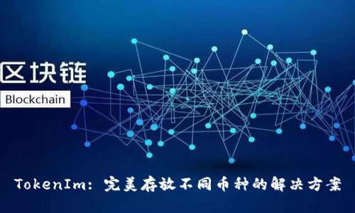 TokenIm: 完美存放不同币种的解决方案