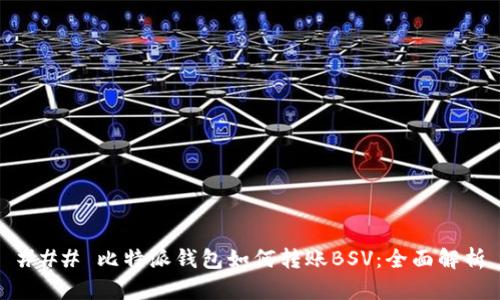 ### 比特派钱包如何转账BSV：全面解析