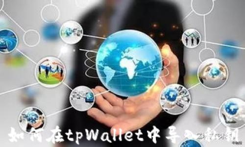 
如何在tpWallet中导入私钥