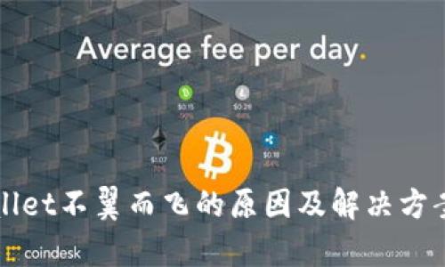 tpWallet不翼而飞的原因及解决方案解析