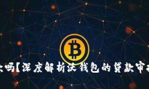 沃钱包好下款吗？深度解析沃钱包的贷款审批与借款体验