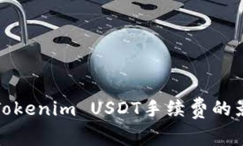 深入分析Tokenim USDT手续费的影响与策略