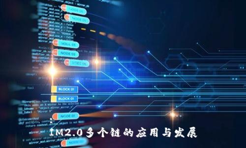 : 
IM2.0多个链的应用与发展