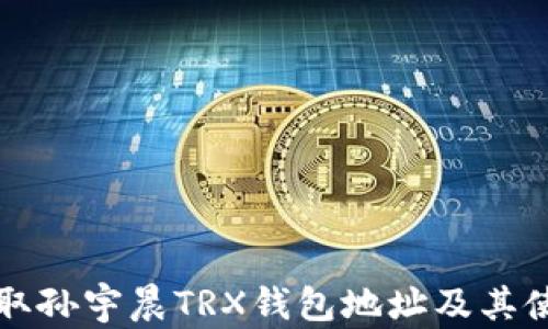 
如何获取孙宇晨TRX钱包地址及其使用指南