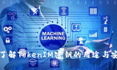 深入了解TokenIM密钥的用途与安全性
