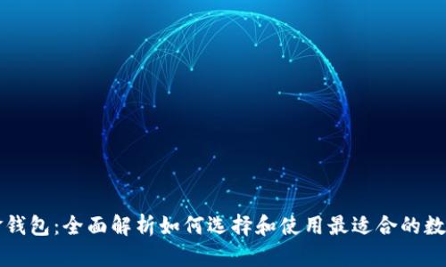 比特币现金钱包：全面解析如何选择和使用最适合的数字货币钱包