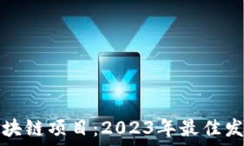   
探索最新区块链项目：2023年最佳发布平台推荐