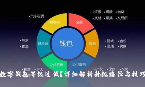 数字钱包等级过低？详细解析升级路径与技巧