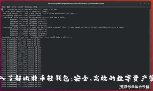 深入了解比特币轻钱包：安全、高效的数字资产管理