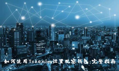 如何使用Tokenim设置观察钱包：完整指南